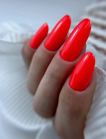 Finition top coat no wipe sans couche collante après catalysation complète, The French Touch